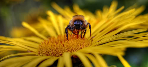 THỜI ĐIỂM LÀM NHÀ THÍCH HỢP